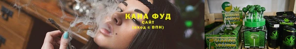 МДПВ Няндома