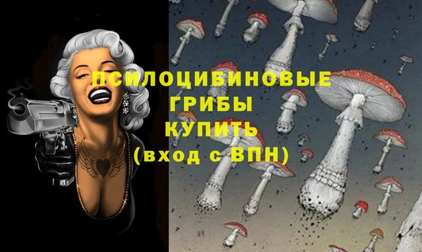 меф Весьегонск