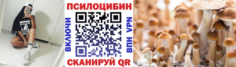 Галлюциногенные грибы ЛСД  сайты даркнета официальный сайт  Нестеровская 